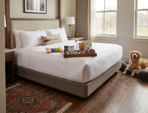 Pet-Friendly Hotels: How to Welcome Four-Legged Guests and Win More Bookings